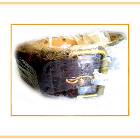New Rare & Unique Women\'s Very Fancy Accented Belt With Brass Accents main image 7